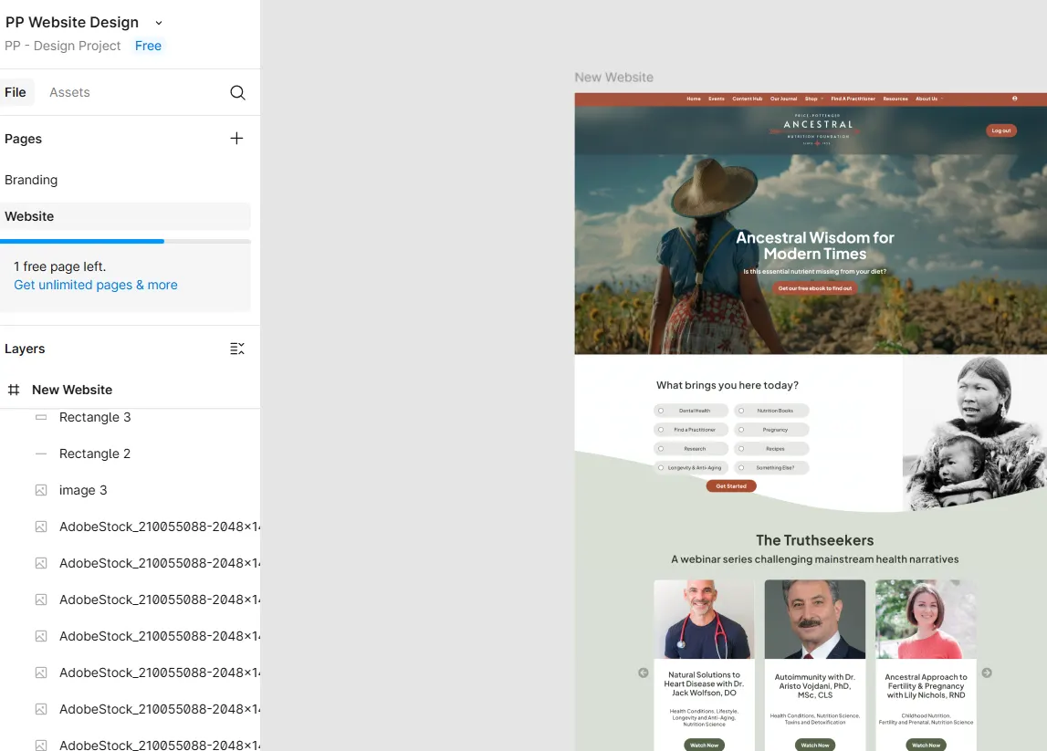 Ancestral Nutrition Foundation home page